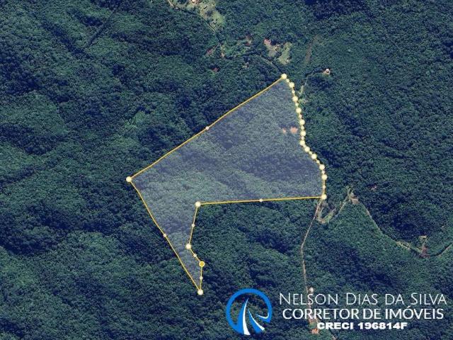 Sítio e chácara venda em Pedro de Toledo