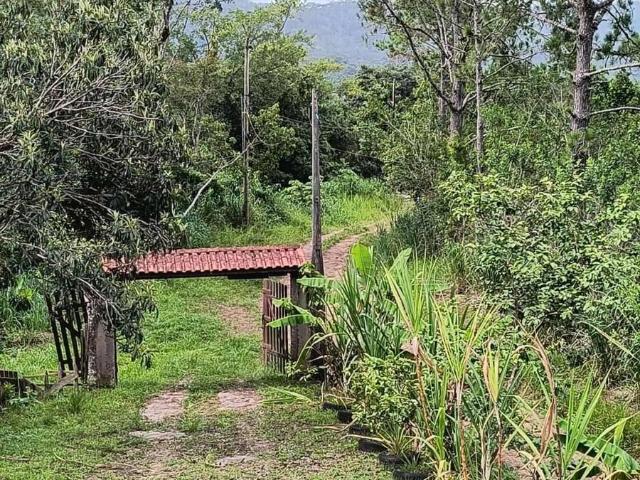 Sítio e chácara venda em Região Imediata de Registro, Iguape