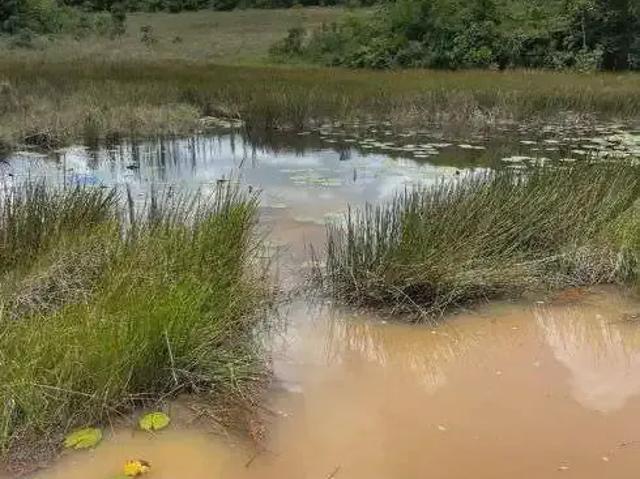 Sítio e chácara venda em Região Geográfica Imediata de Canguaretama, Pedro Velho