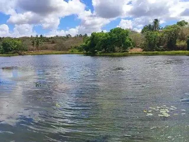 Sítio e chácara venda em Região Geográfica Imediata de Canguaretama, Pedro Velho