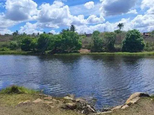 Sítio e chácara venda em Região Geográfica Imediata de Canguaretama, Pedro Velho