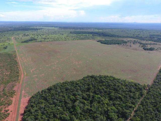 Sítio e chácara venda em Nova Nazaré, Região Geográfica Intermediária de Barra do Garças