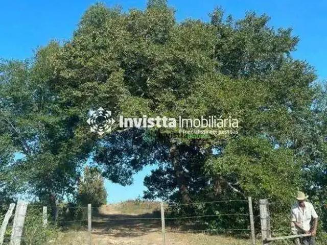 Sítio e chácara venda em Região Geográfica Imediata de Gurupi, Peixe
