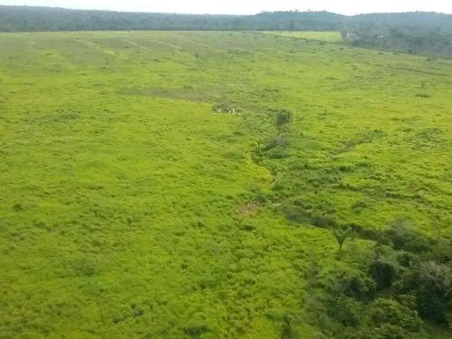 Sítio e chácara venda em Região Geográfica Imediata de Peixoto de Azevedo - Guarantã do Norte, Peixoto de Azevedo