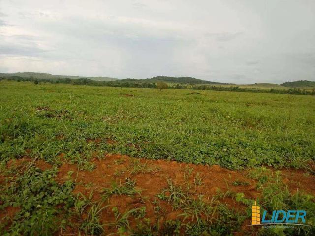 Sítio e chácara venda em Peixoto de Azevedo, Região Geográfica Intermediária de Sinop