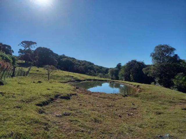 Sítio e chácara venda em Região Geográfica Imediata de Pelotas, Aglomeração Urbana do Sul