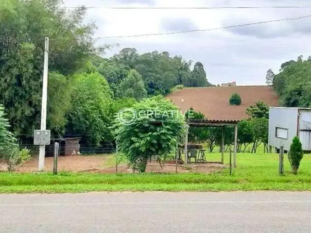 Sítio e chácara venda em Região Geográfica Imediata de Pelotas, Aglomeração Urbana do Sul