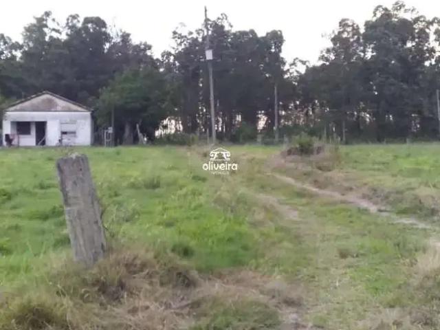 Sítio e chácara venda em Região Geográfica Imediata de Pelotas, Aglomeração Urbana do Sul