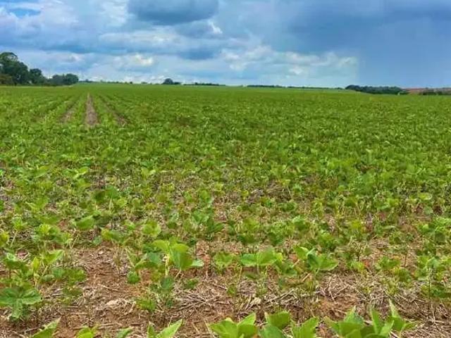 Sítio e chácara venda em Região Geográfica Imediata de Araxá, Perdizes