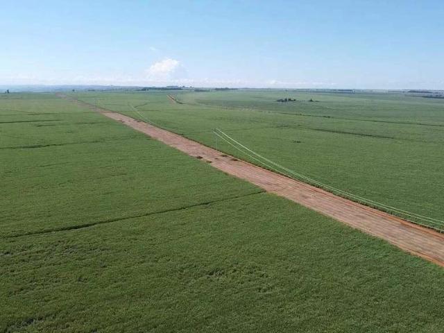 Sítio e chácara venda em Perdizes, Região Geográfica Intermediária de Uberaba