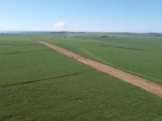 Sítio e chácara venda em Região Geográfica Imediata de Araxá, Perdizes