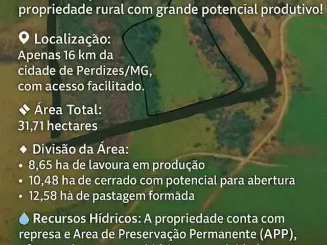 Sítio e chácara venda em Região Geográfica Imediata de Araxá, Perdizes