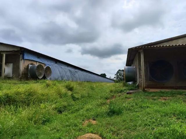 Sítio e chácara venda em Região Imediata de Campinas, Região Metropolitana de Campinas