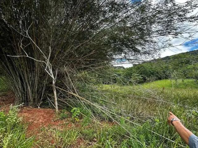 Sítio e chácara venda em Região Geográfica Imediata de Ipatinga, Periquito
