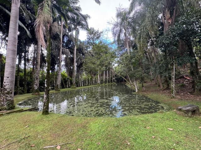 Sítio e chácara venda em Região Imediata de Santos, Região Metropolitana da Baixada Santista