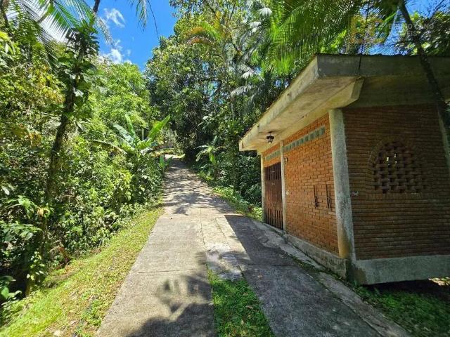Sítio e chácara venda em Região Imediata de Santos, Região Metropolitana da Baixada Santista