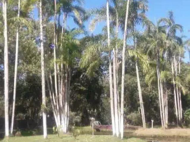 Sítio e chácara venda em Região Imediata de Registro, Iporanga