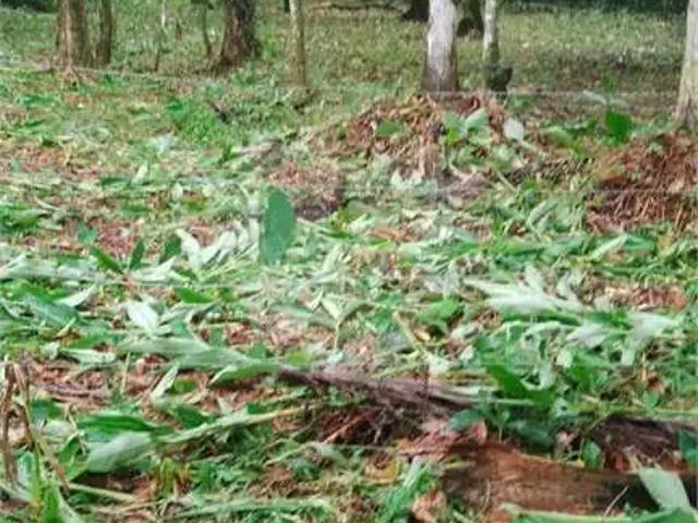 Sítio e chácara venda em Região Imediata de Santos, Região Metropolitana da Baixada Santista