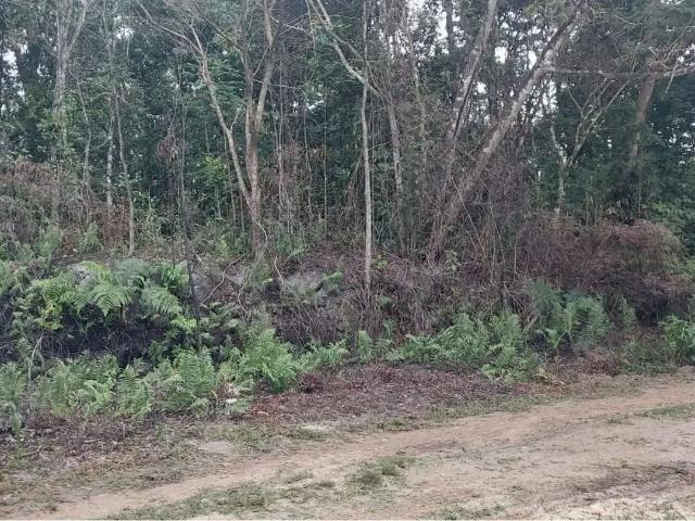 Sítio e chácara venda em Região Imediata de Santos, Região Metropolitana da Baixada Santista