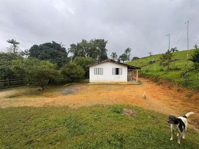 Sítio e chácara venda em Jardim Marcia I, Peruibe