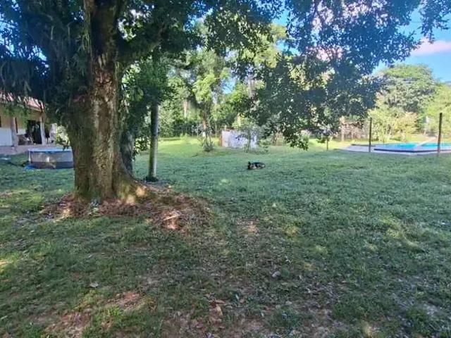 Sítio e chácara venda em Região Imediata de Santos, Região Metropolitana da Baixada Santista
