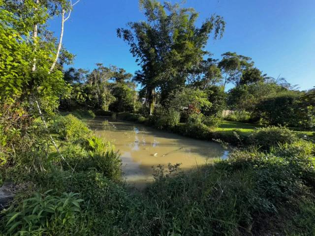 Sítio e chácara venda em Região Imediata de Santos, Região Metropolitana da Baixada Santista