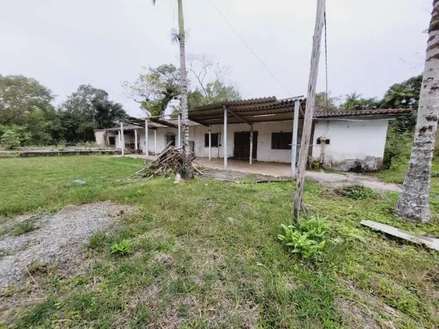 Sítio e chácara venda em Jardim Marcia I, Peruibe