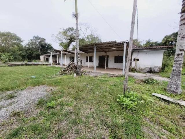 Sítio e chácara venda em Jardim Marcia I, Peruibe
