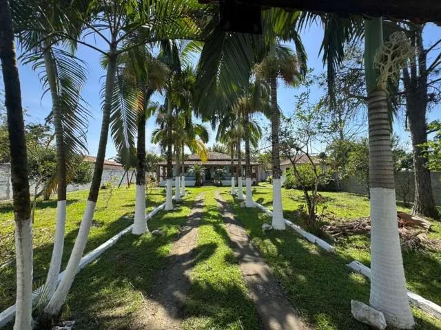 Sítio e chácara venda em Jardim Marcia I, Peruibe