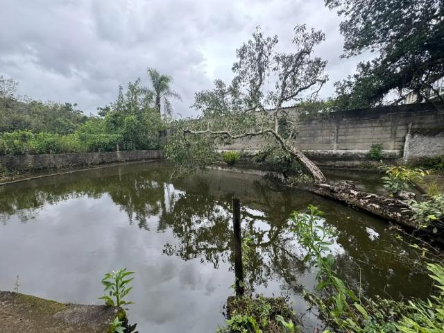 Sítio e chácara venda em Região Imediata de Santos, Região Metropolitana da Baixada Santista