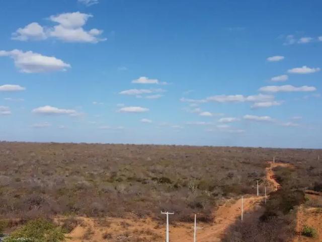 Sítio e chácara venda em Região Geográfica Imediata de Serra Talhada, Petrolândia