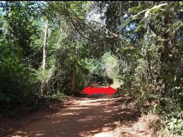 Sítio e chácara venda em Região Geográfica Imediata de Anápolis, Petrolina de Goiás