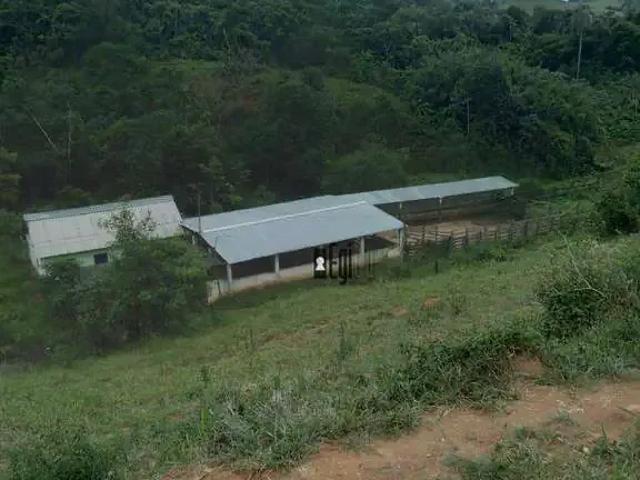 Sítio e chácara venda em Região Geográfica Imediata de Montes Claros, Montes Claros