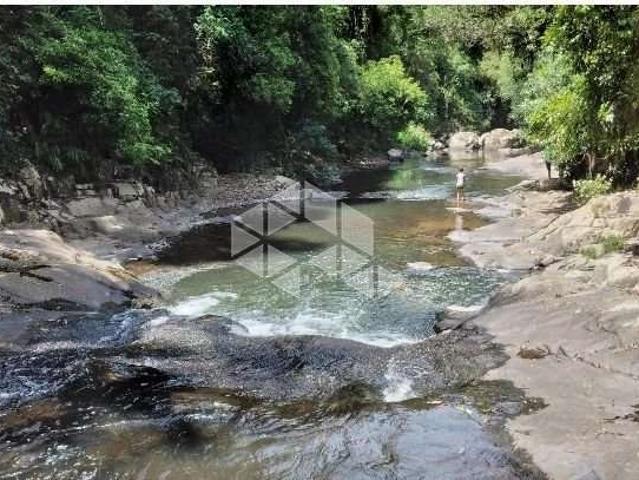 Sítio e chácara venda em Região Geográfica Imediata de Caxias do Sul, Picada Café