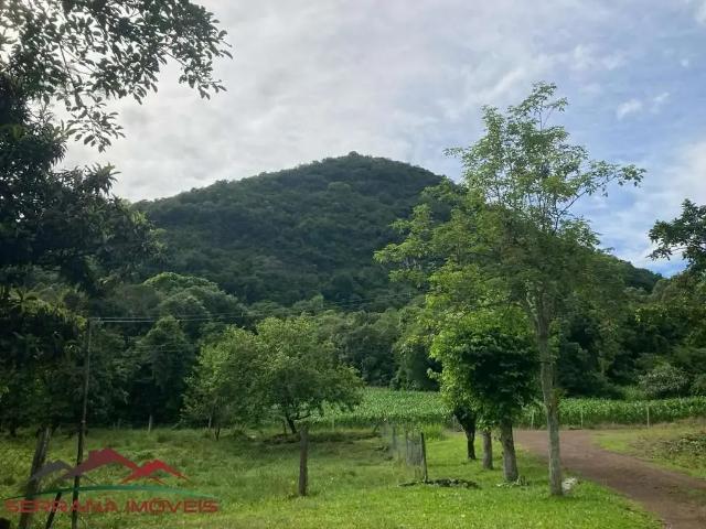 Sítio e chácara venda em Região Geográfica Imediata de Caxias do Sul, Picada Café
