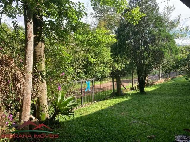 Sítio e chácara venda em Região Geográfica Imediata de Caxias do Sul, Picada Café