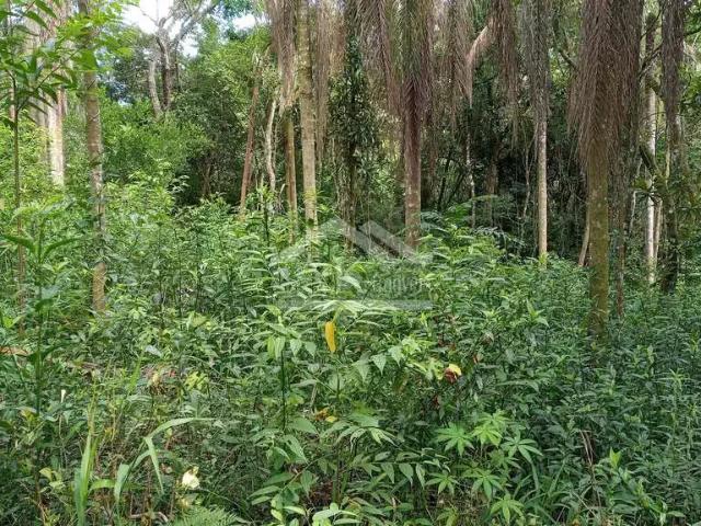 Sítio e chácara venda em Região Geográfica Imediata de Caxias do Sul, Picada Café
