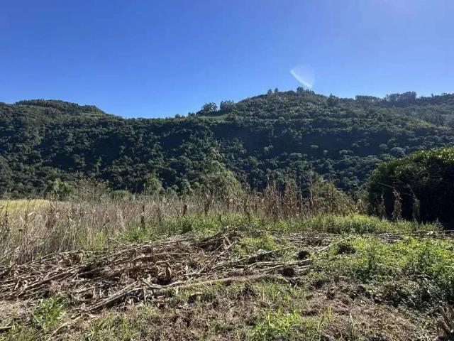 Sítio e chácara venda em Região Geográfica Imediata de Caxias do Sul, Picada Café