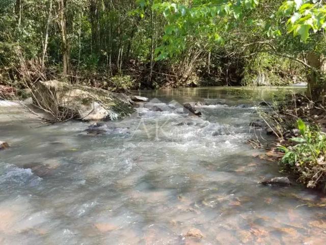 Sítio e chácara venda em Região Geográfica Imediata de Caxias do Sul, Picada Café