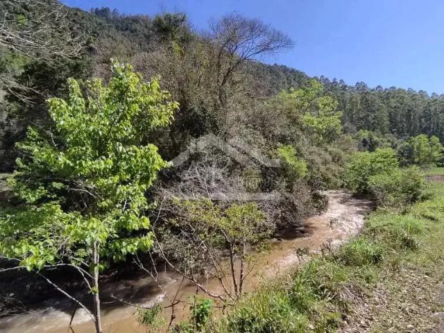 Sítio e chácara venda em Região Geográfica Imediata de Caxias do Sul, Picada Café