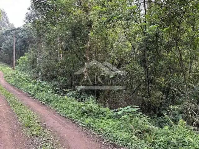 Sítio e chácara venda em Região Geográfica Imediata de Caxias do Sul, Picada Café