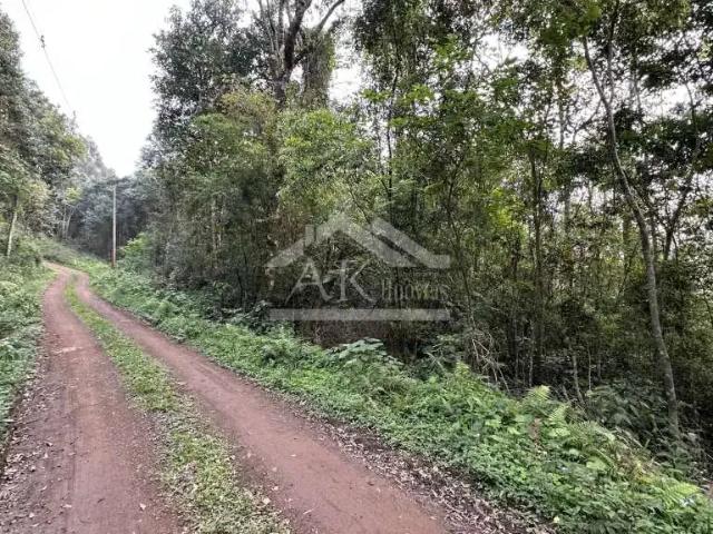 Sítio e chácara venda em Região Geográfica Imediata de Caxias do Sul, Picada Café