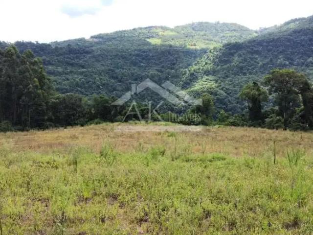 Sítio e chácara venda em Região Geográfica Imediata de Caxias do Sul, Picada Café