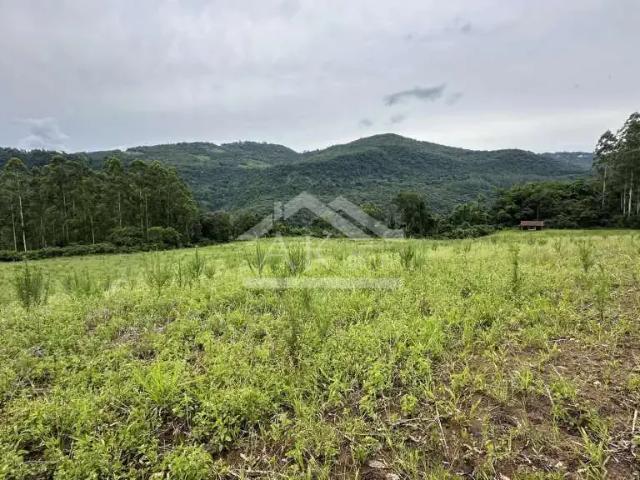 Sítio e chácara venda em Região Geográfica Imediata de Caxias do Sul, Picada Café