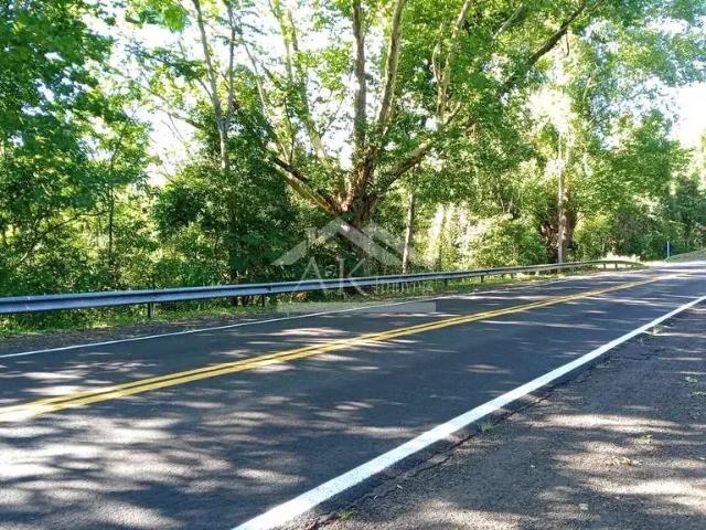 Sítio e chácara venda em Região Geográfica Imediata de Caxias do Sul, Picada Café