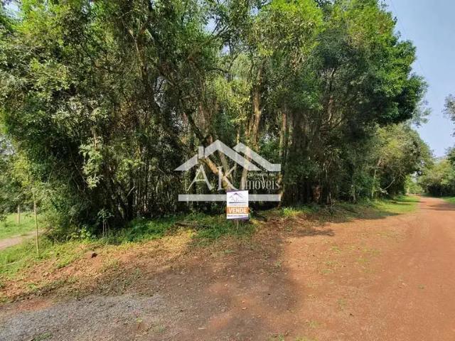 Sítio e chácara venda em Região Geográfica Imediata de Caxias do Sul, Picada Café