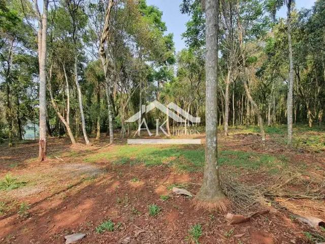 Sítio e chácara venda em Região Geográfica Imediata de Caxias do Sul, Picada Café