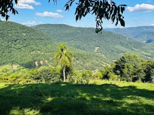Sítio e chácara venda em Região Geográfica Imediata de Caxias do Sul, Picada Café