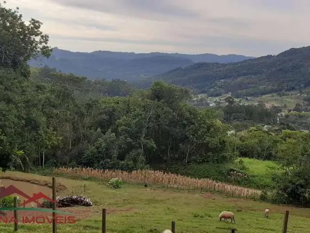 Sítio e chácara venda em Região Geográfica Imediata de Caxias do Sul, Picada Café