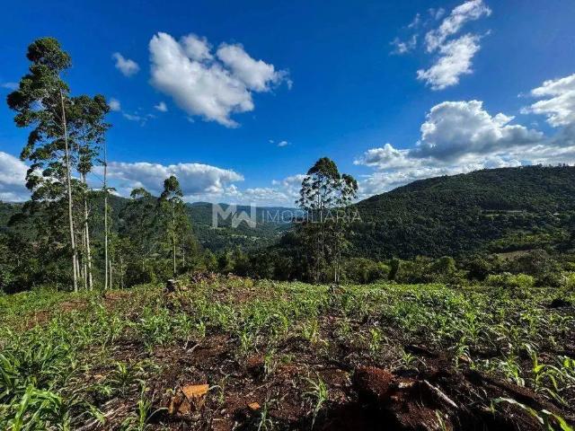 Sítio e chácara venda em Região Geográfica Imediata de Caxias do Sul, Picada Café